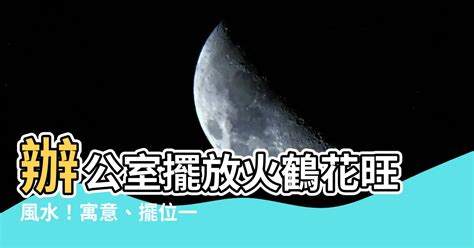 火鶴辦公室風水|【火鶴辦公室風水】辦公室火鶴辟邪，擺好風水迎桃花！5種開運。